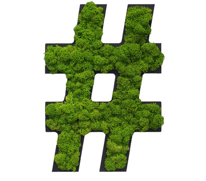 styleGREEN Sonderzeichen 'Hashtag' aus Islandmoos, ca. B20/H25/T3,5 cm