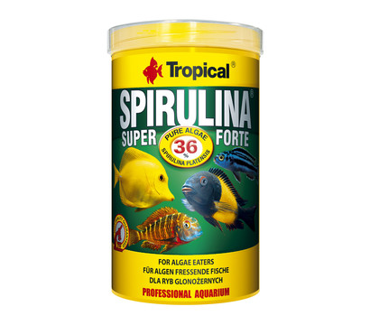 Tropical® Fischfutter Super Spirulina Forte 36%