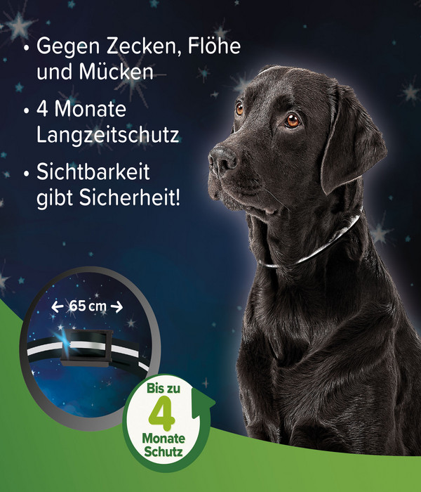 beaphar Zecken- und Flohschutzband für Hunde, 65 cm