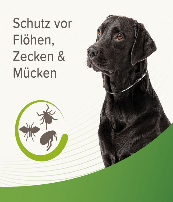 beaphar Zecken- und Flohschutzband für Hunde, 65 cm
