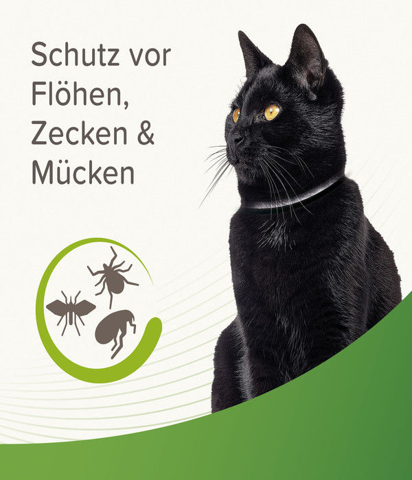 beaphar Zecken- und Flohschutzband für Katzen, 35 cm