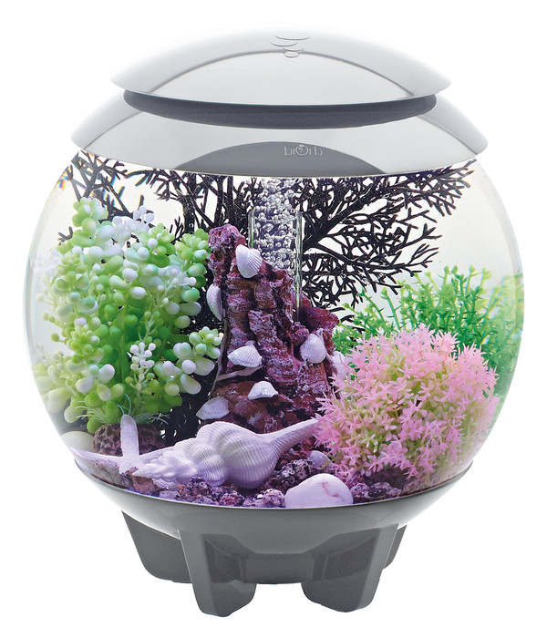 biOrb® Aquarium HALO 15 MCR