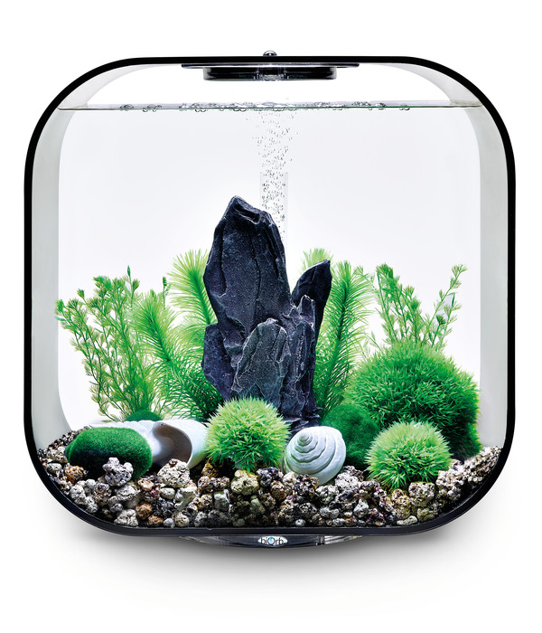 biOrb® Aquariumdeko Decor Set 30 l Stone Garden