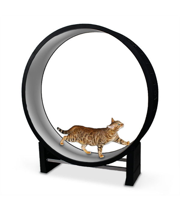 CanadianCat Company® Katzenlaufrad Cat in Motion