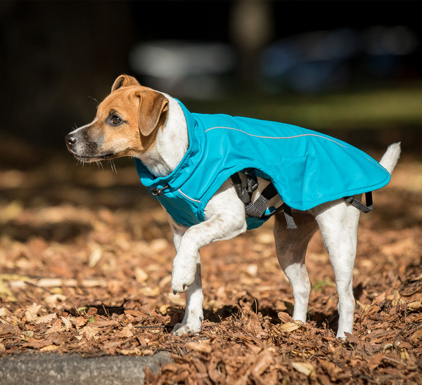 CHIARA® Hunde-Regenmantel mit Geschirr HARRY
