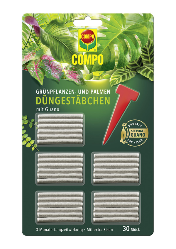 COMPO Düngestäbchen für Grünpflanzen und Palmen, 30 Stück