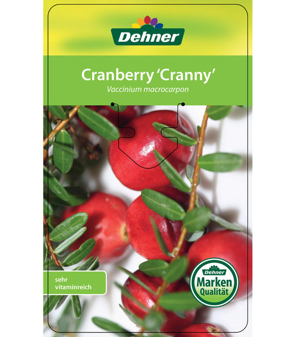 Cranberry 'Cranny'