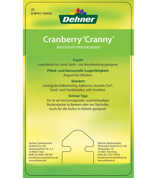 Cranberry 'Cranny'