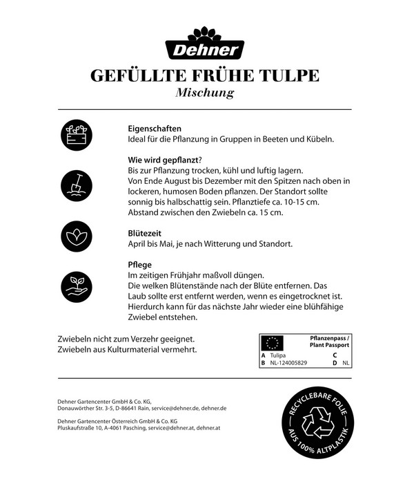 Dehner Blumenzwiebel Gefüllte frühe Tulpe Mischung, 8 Stk.