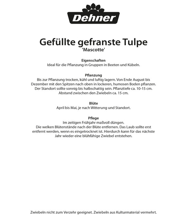 Dehner Blumenzwiebel Gefüllte gefranste Tulpe 'Mascotte', 5 Stk.