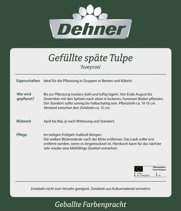 Dehner Blumenzwiebel Gefüllte späte Tulpe 'Averyon', 10 Stk.