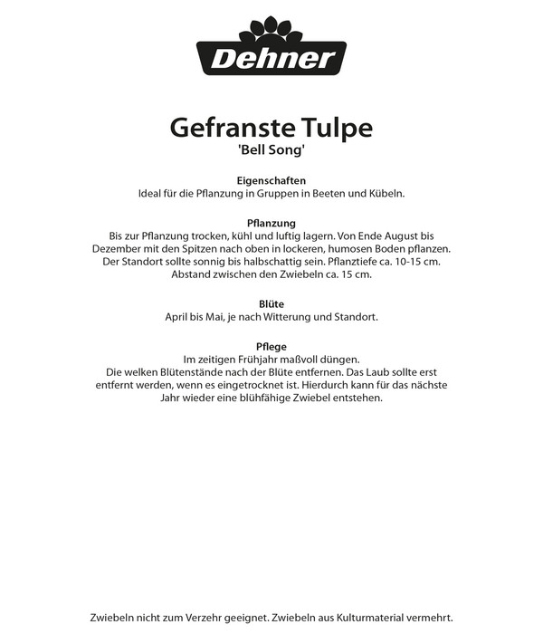 Dehner Blumenzwiebel Gefranste Tulpe 'Bell Song', 8 Stk.