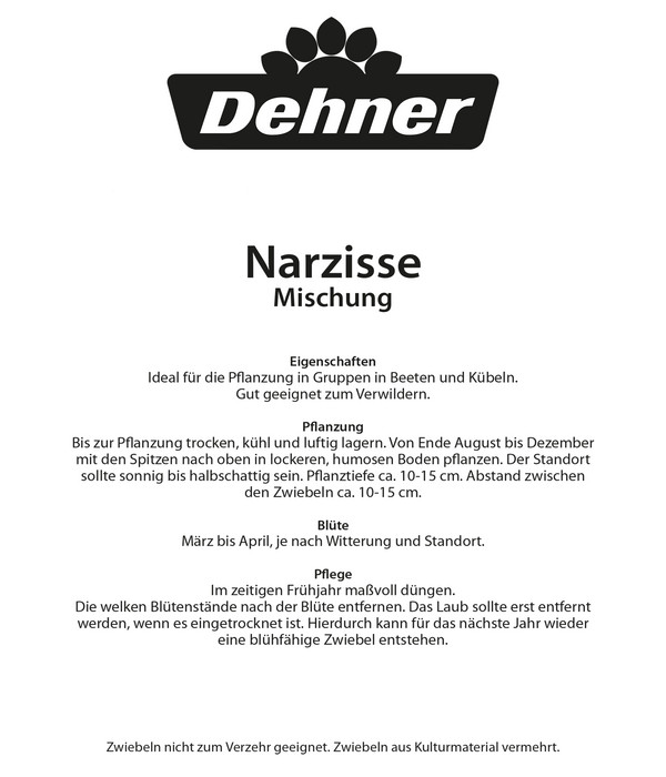 Dehner Blumenzwiebel Narzisse Mischung, 25 Stk.