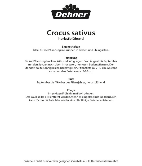 Dehner Blumenzwiebel Safran-Krokus herbstblühend, 15 Stk.