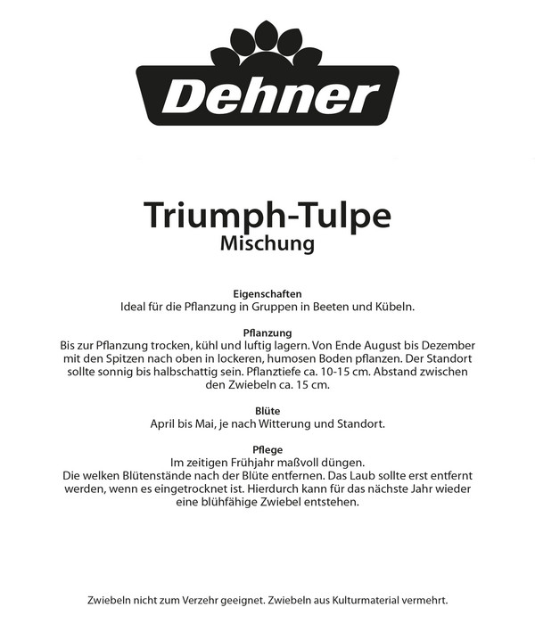 Dehner Blumenzwiebel Triumph-Tulpe 'Mischung', 25 Stk.