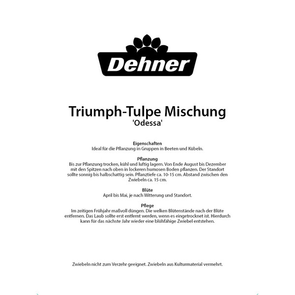Dehner Blumenzwiebel Tulpen-Mischung 'Odessa', 20 Stk.