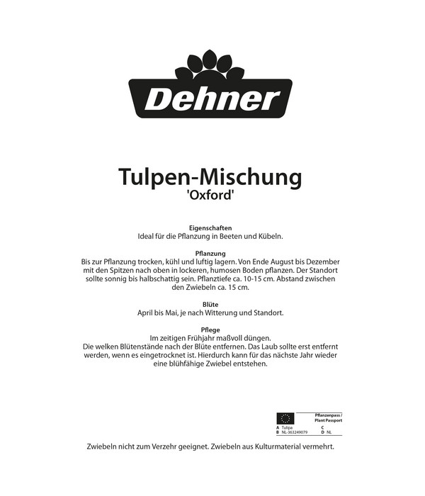 Dehner Blumenzwiebel Tulpen-Mischung 'Oxford', 15 Stk.