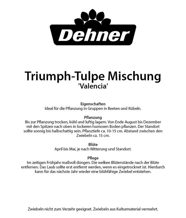 Dehner Blumenzwiebel Tulpen-Mischung 'Valencia', 25 Stk.