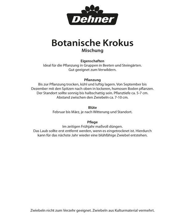 Dehner Blumenzwiebel Wildkrokus Mischung, 25 Stk.