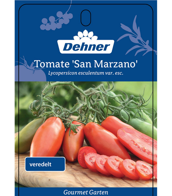 Dehner Gourmet Garten San Marzano Tomate, veredelt