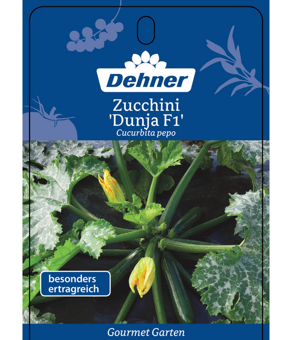 Dehner Gourmet Garten Zucchini 'Dunja'