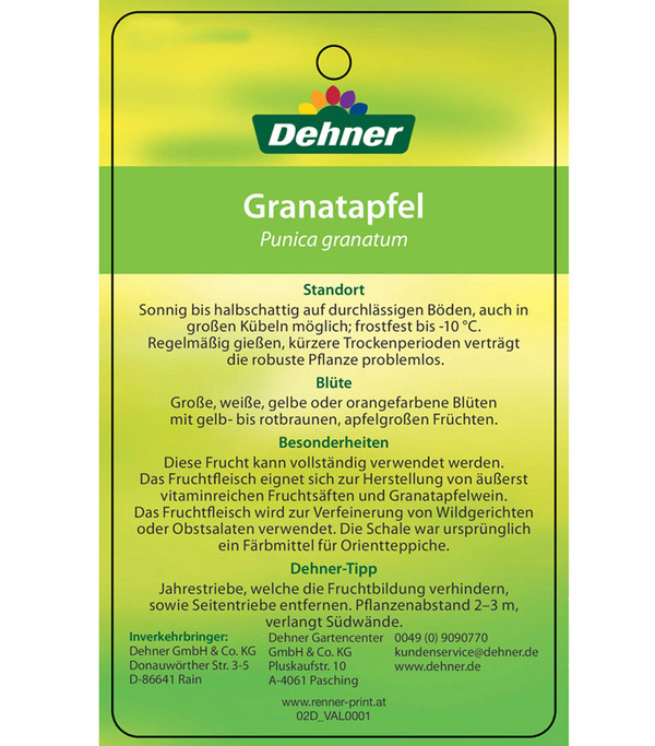 Dehner Granatapfel