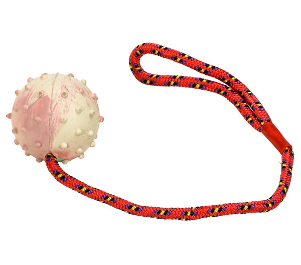 Dehner Hundespielzeug Ball am Seil 'Chubby'