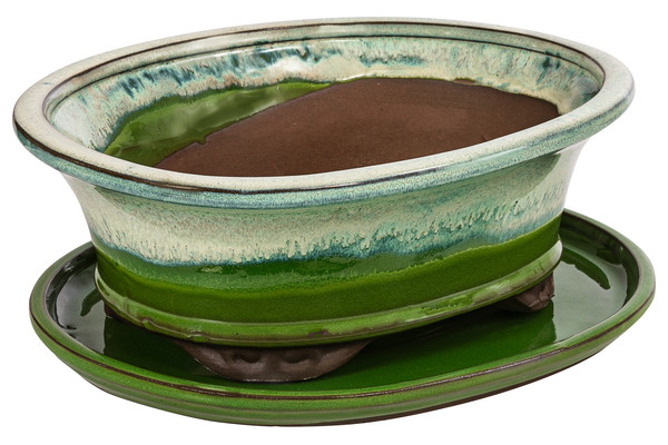 Dehner Keramik-Bonsaischale, oval, hellgrün/beige