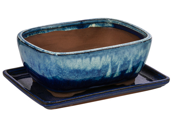 Dehner Keramik-Bonsaischale, rechteckig, blau/beige