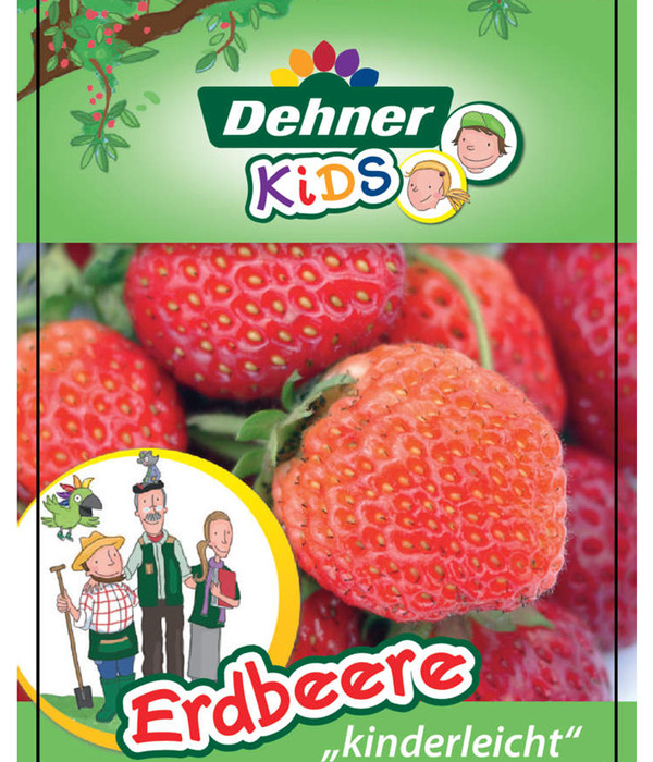 Dehner Kids Erdbeere 'Ostara'