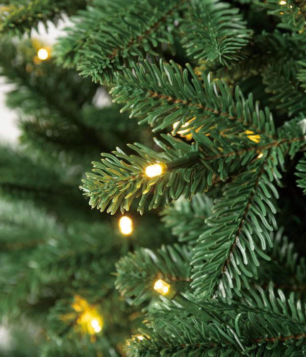 Dehner künstlicher LED-Weihnachtsbaum Alva, ca. H210 cm