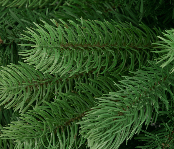 Dehner künstlicher Weihnachtsbaum Stellan, ca. H210 cm