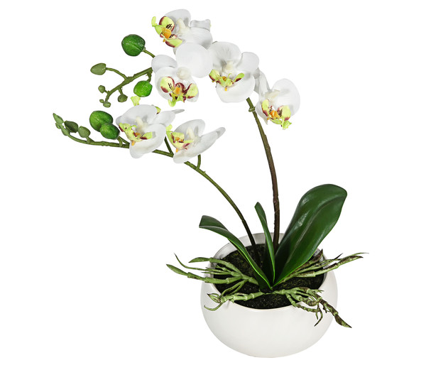 Dehner Kunstpflanze Mini-Orchidee Phalaenopsis, weiß