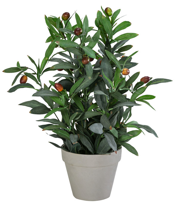 Dehner Kunstpflanze Olivenpflanze