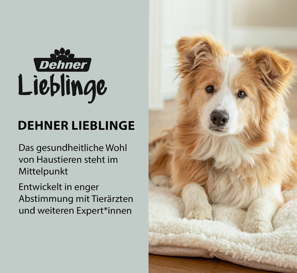 Dehner Lieblinge Cool/Warm-Bett für Hunde & Katzen, eckig