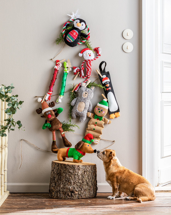 Dehner Lieblinge Hundespielzeug Christmas Stick