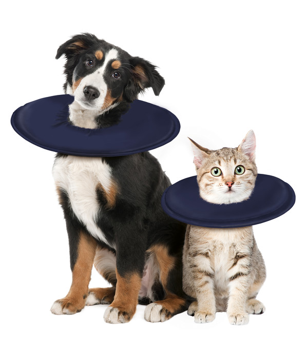 Dehner Lieblinge Leckschutzkragen für Hunde & Katzen