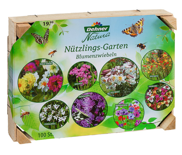 Dehner Natura Blumenzwiebel-Mischung Nützlings-Garten