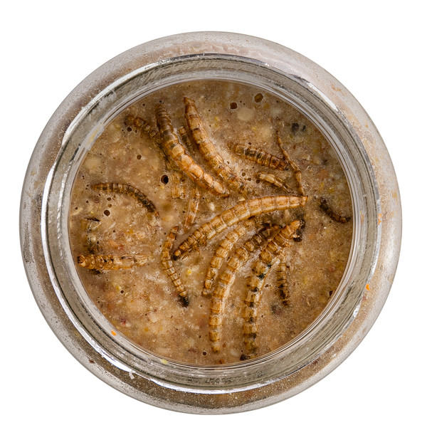 Dehner Natura Erdnussbutter im Glas, Mehlwürmer, 8 x 340 g