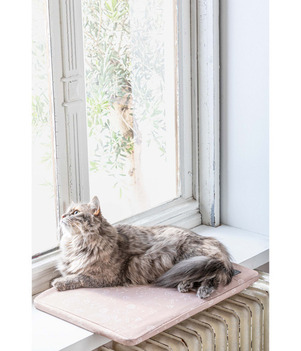 Dehner Premium Lovely Katzen-Liegeplatte Fensterplatz, ca. B50/H2/T35 cm