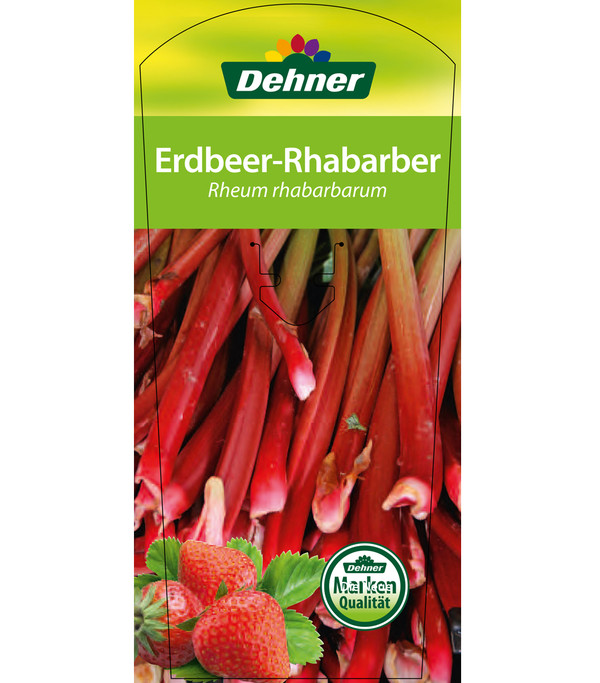 Erdbeer-Rhabarber