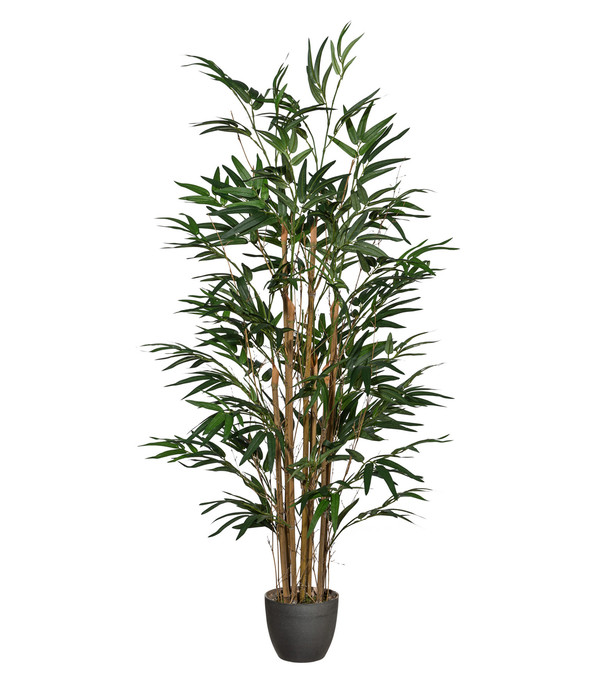 Gasper Kunstpflanze Bambus, ca. H120 cm