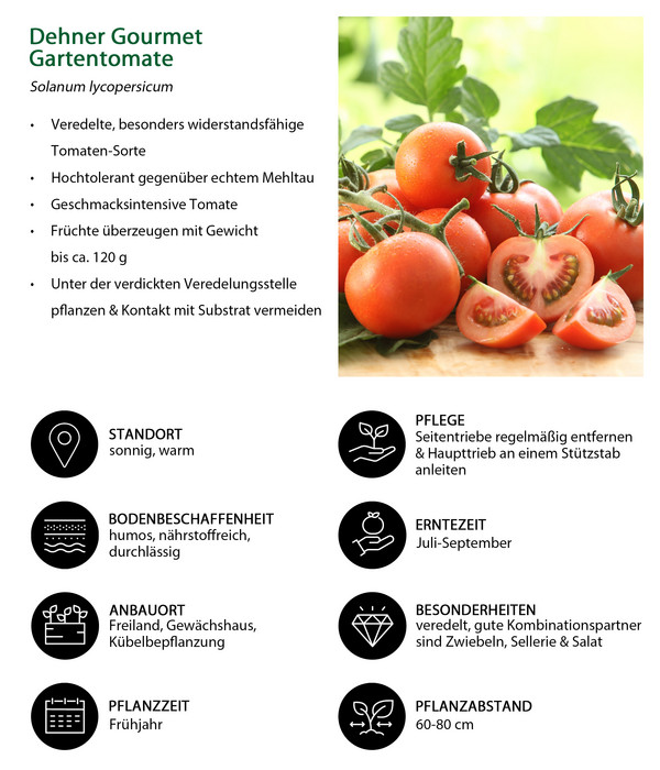 Gemüseset Tomatengenuss, 6-teilig