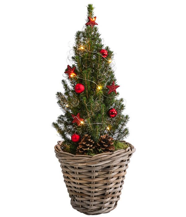 Geschmückter Weihnachtsbaum 'Kubu', mit Lichterkette, ca. H50 cm