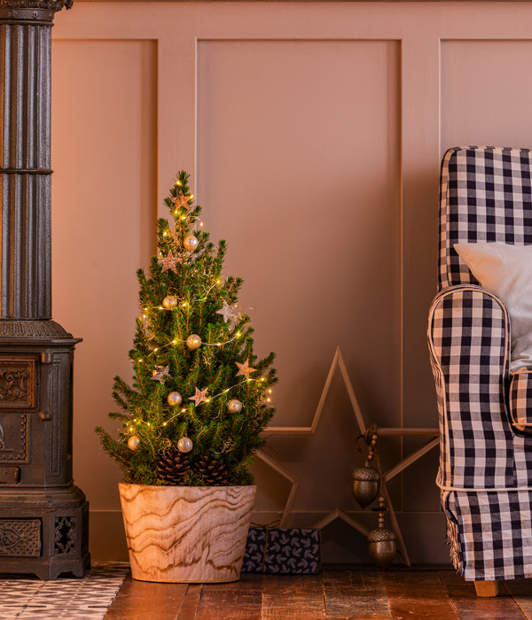 Geschmückter Weihnachtsbaum 'Loxley', mit Lichterkette, ca. H70 cm