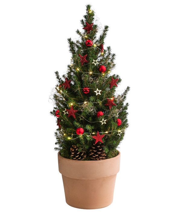 Geschmückter Weihnachtsbaum Terra, mit Lichterkette, ca. H70 cm