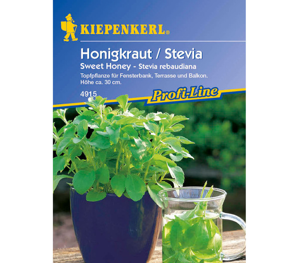 Honigkraut / Stevia Sweet Honey, Saatgut von Kiepenkerl