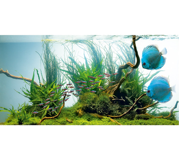 Auf welche Faktoren Sie zuhause vor dem Kauf bei T5 aquarium leuchtstoffröhren achten sollten!