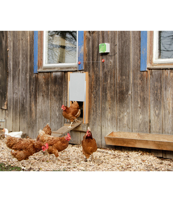 KERBL Hühnerstallzubehör Automatische Hühnertür Komplett-Set