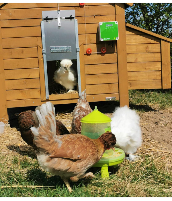 KERBL Hühnerzubehör Futterautomat mit Standfüßen